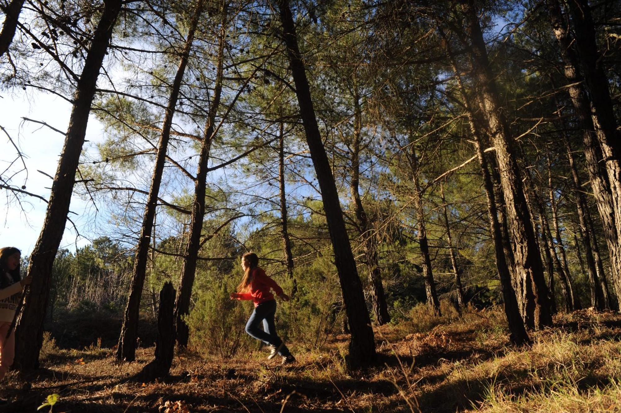Foresta In Medias Mores Trípoli Exterior foto