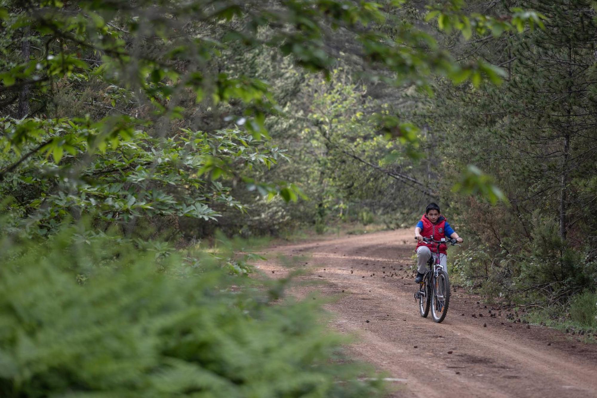 Foresta In Medias Mores Trípoli Exterior foto