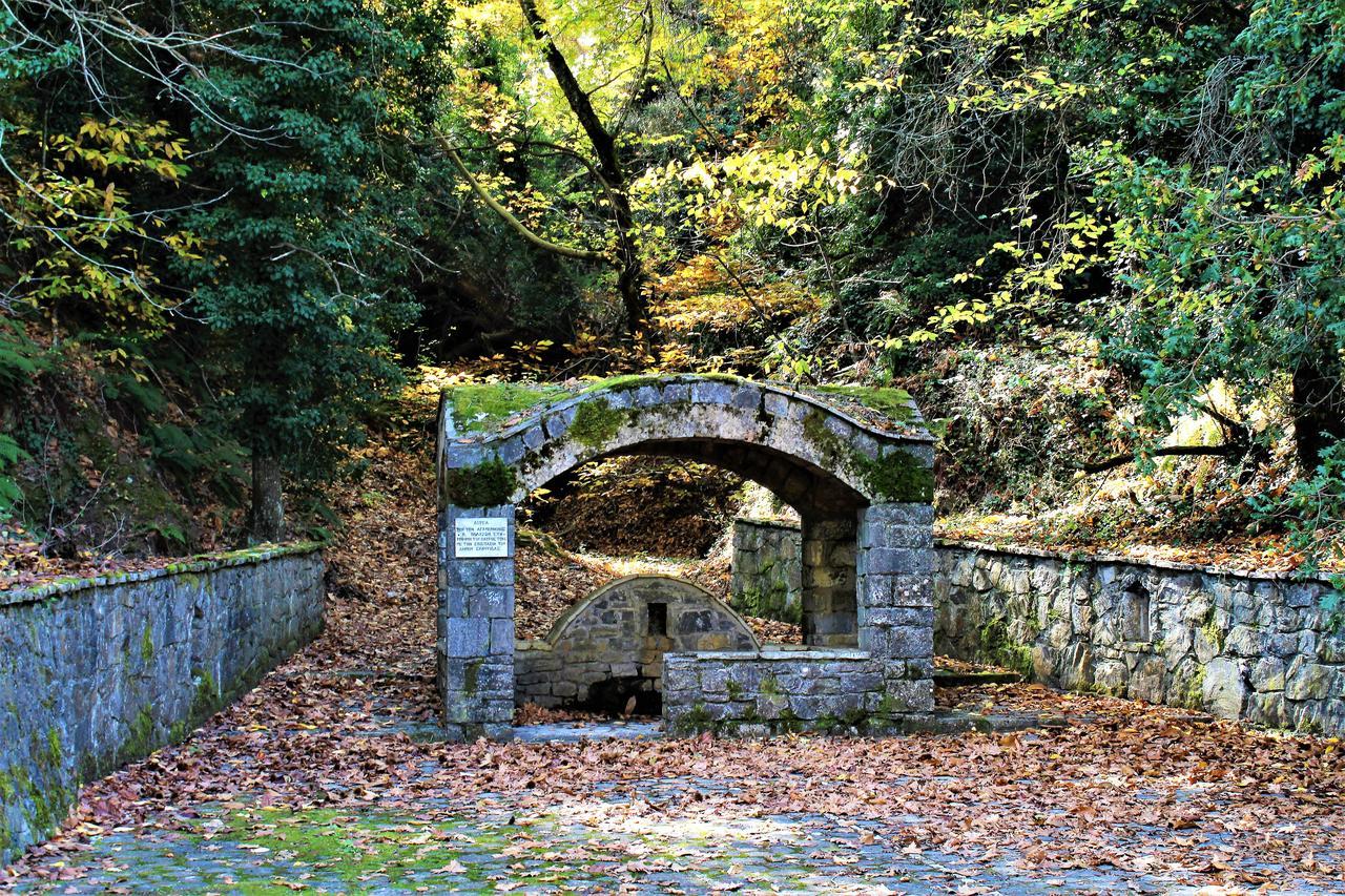 Foresta In Medias Mores Trípoli Exterior foto