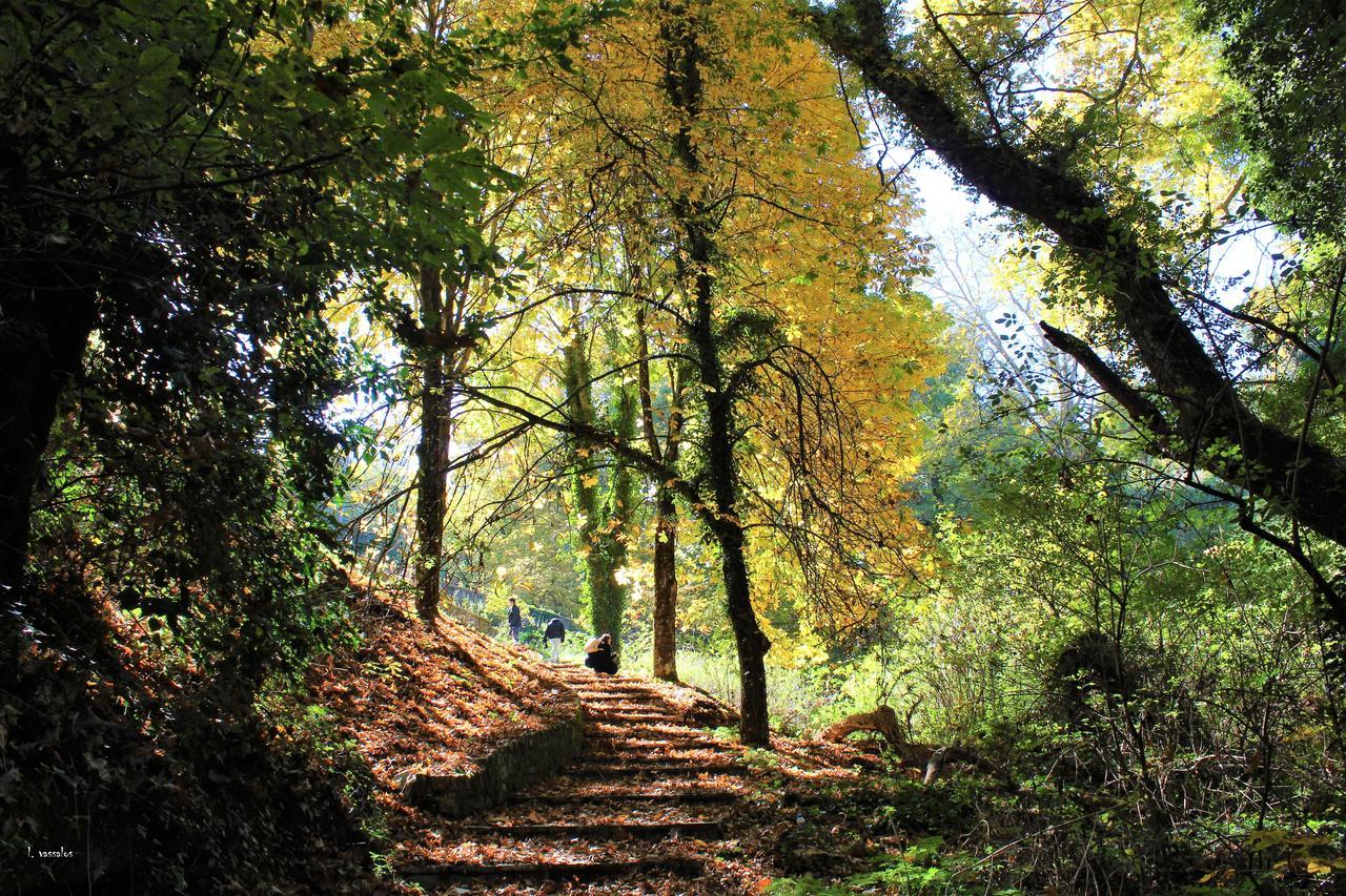 Foresta In Medias Mores Trípoli Exterior foto